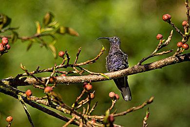 《全境封锁2》×《收获日》联动确认！定档7月15日